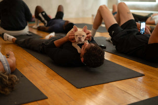 Simply Puppy Yoga (No Mimosas) | West Town Glow