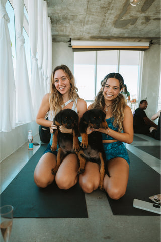 Puppy Yoga & Bubbly (Miami)