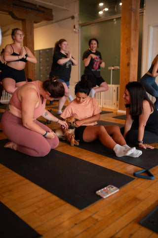 Rescue Puppy Yoga