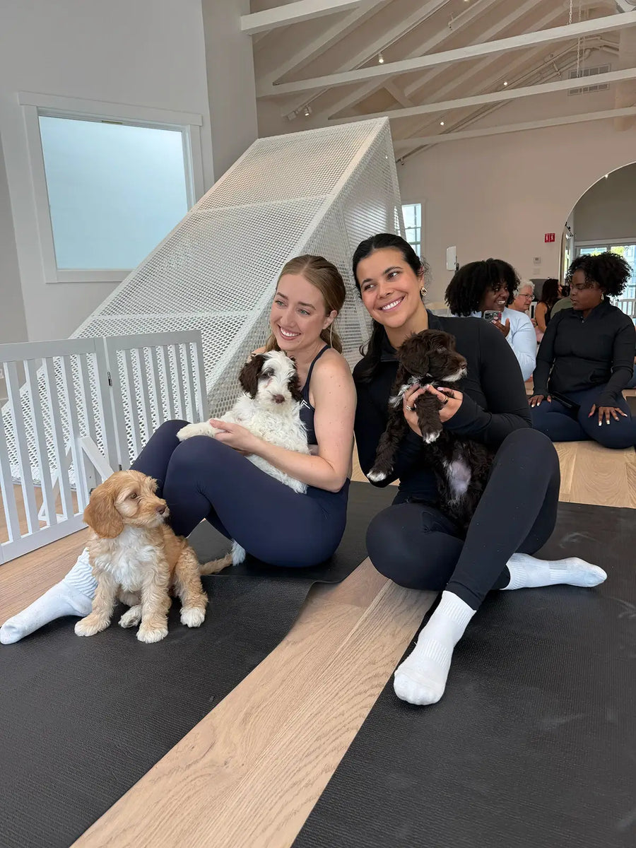 San Francisco puppy yoga studio in Coming Soon!