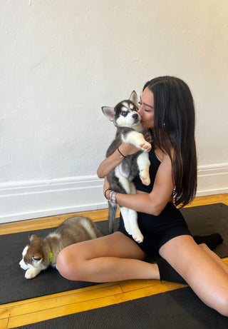 Simply Puppy Yoga | Chicago