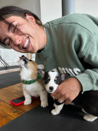 Simply Puppy Yoga | Chicago