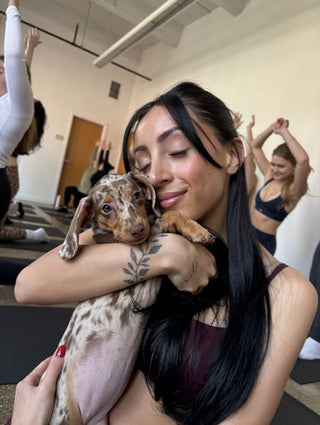 Simply Puppy Yoga | Chicago