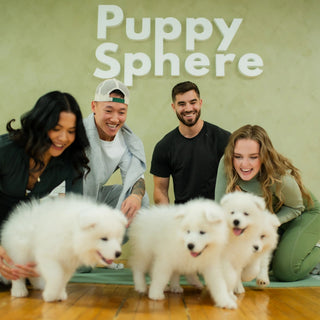 Carnets de cours de yoga avec chiots | Canada