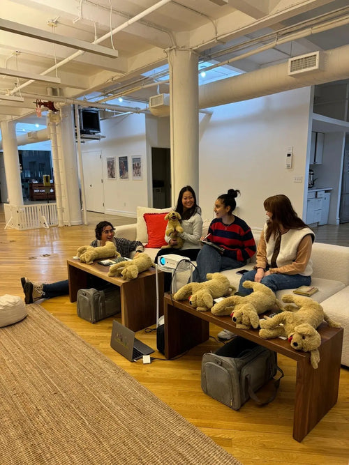 Happy puppy at event