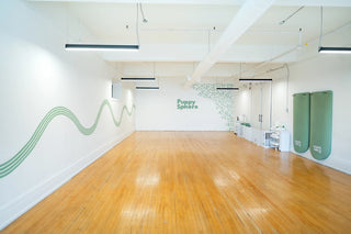 Wellness Puppy Yoga | Toronto Sun