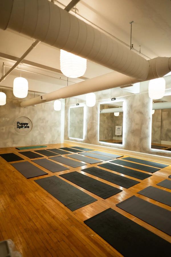 Wellness Puppy Yoga | Toronto Glow