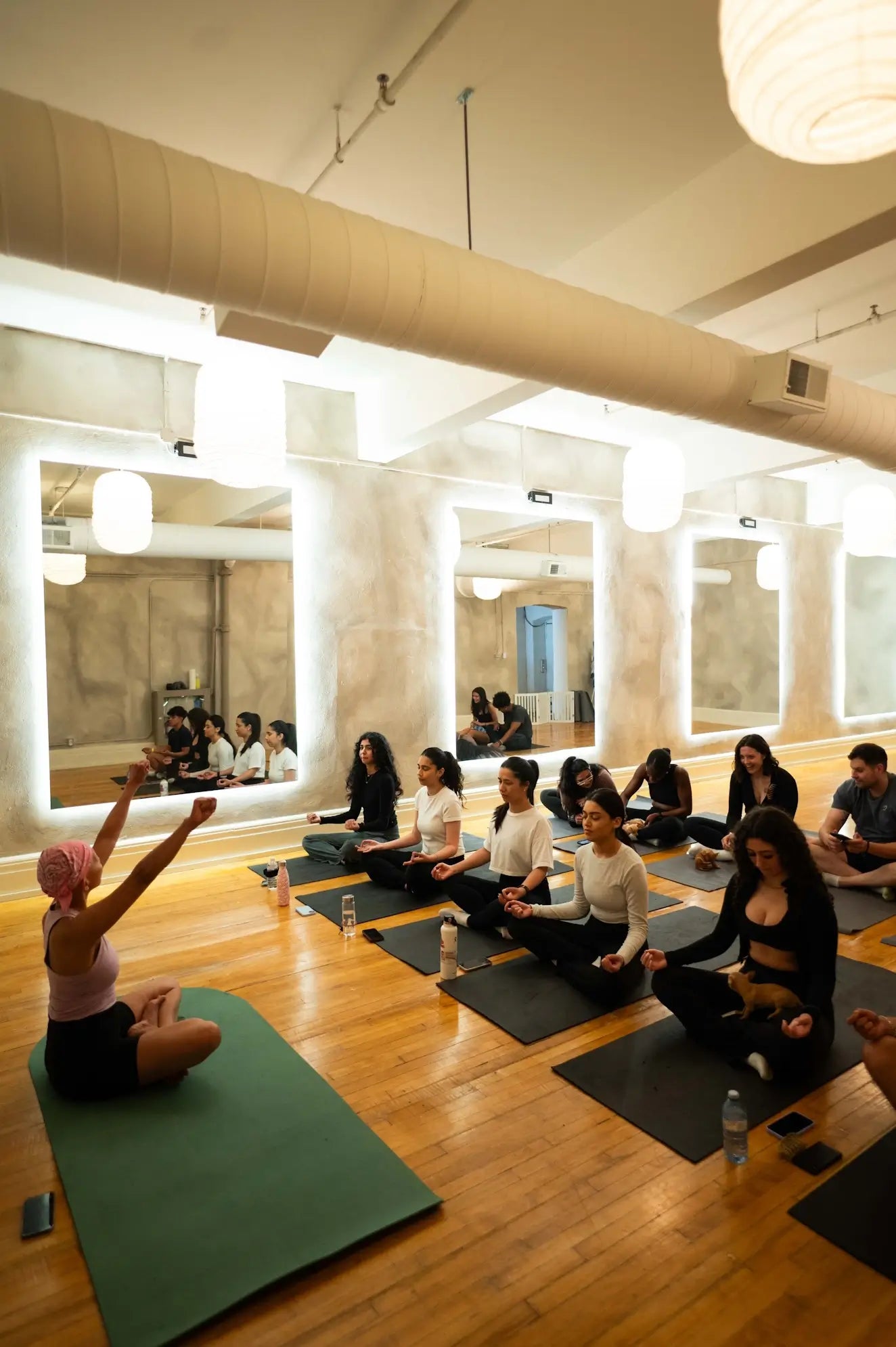 Wellness Puppy Yoga Toronto Glow – Puppy Sphere