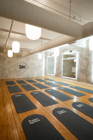 Wellness Puppy Yoga | Toronto Glow