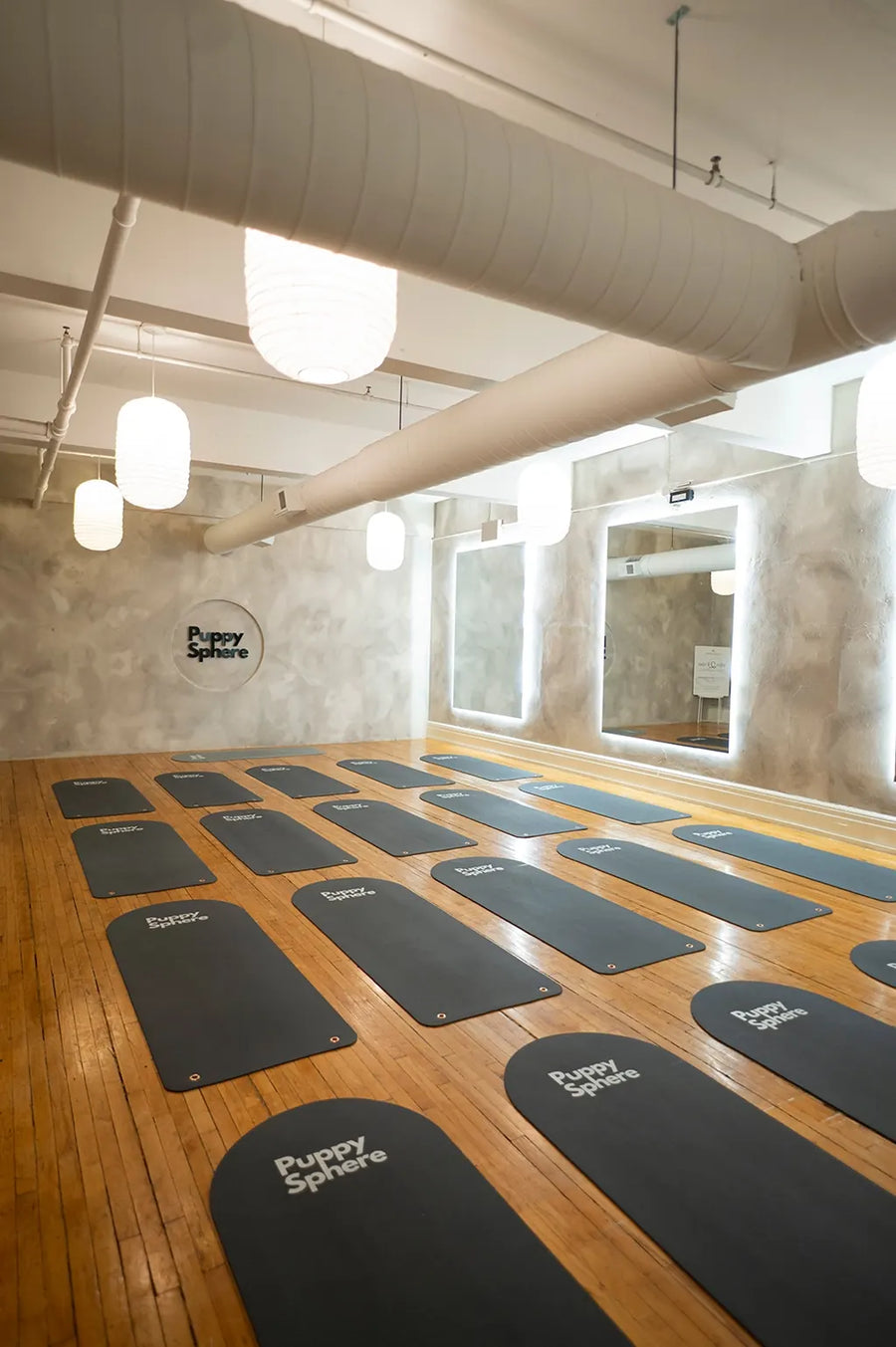 Toronto Glow  puppy yoga studio in Queen West | 639 Queen St W