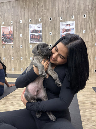 Wellness Puppy Yoga | Winnipeg